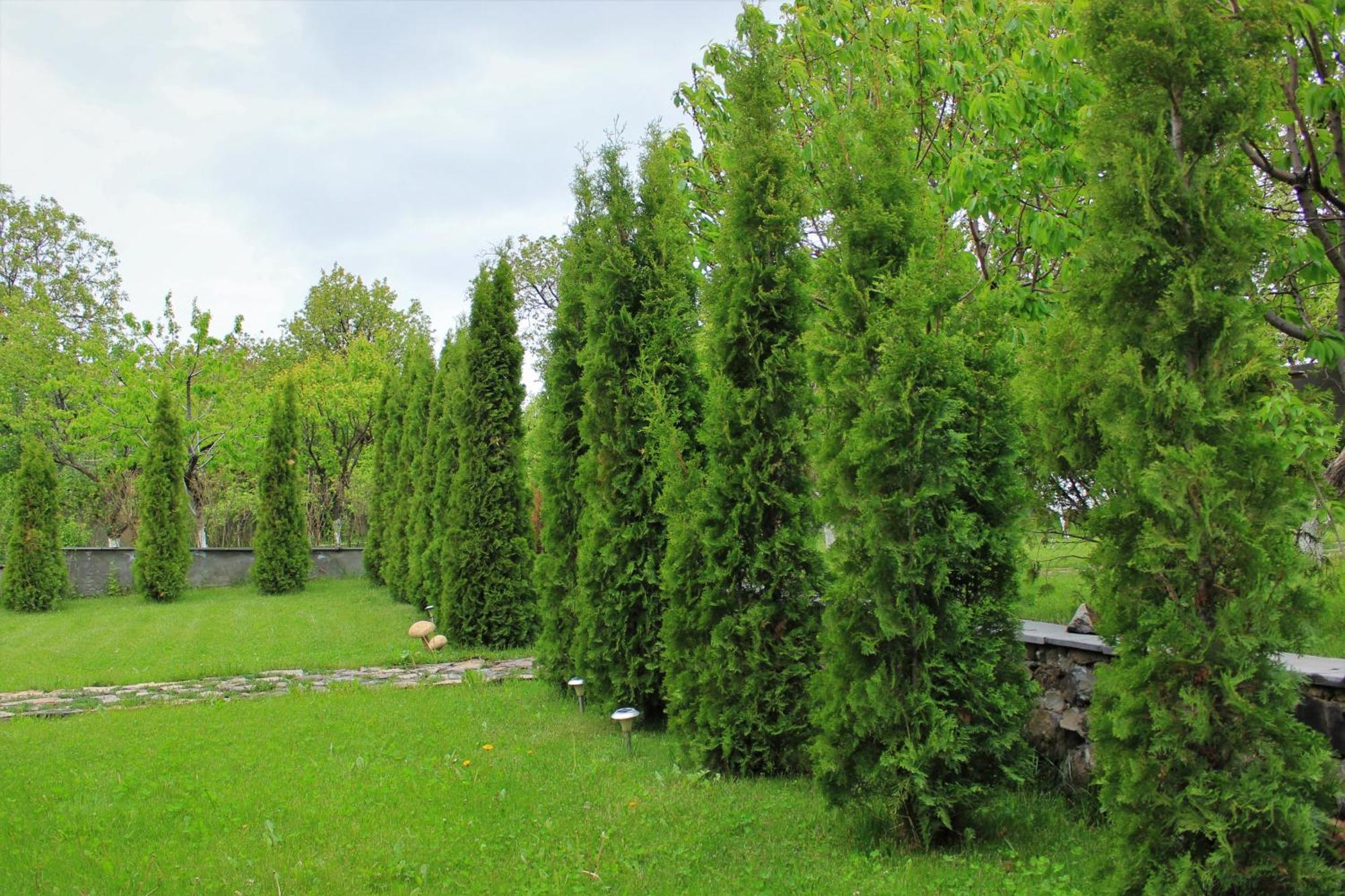 Aya Maria Wellness Spa Resort Dzoraghp'yur ภายนอก รูปภาพ